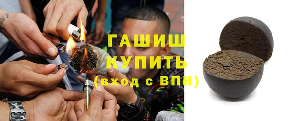 хмурый Пересвет