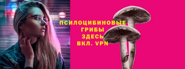 прущие грибы Белоозёрский