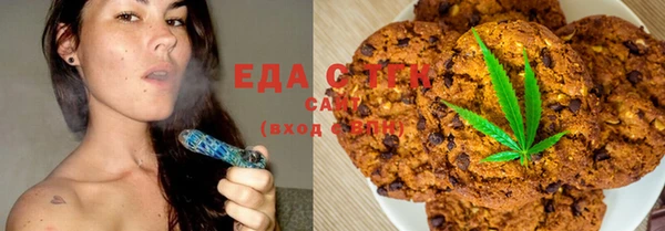 хмурый Пересвет