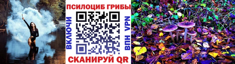 наркошоп  Сковородино  Псилоцибиновые грибы мицелий 